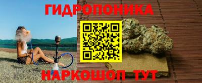 прущие крисы Ипатово