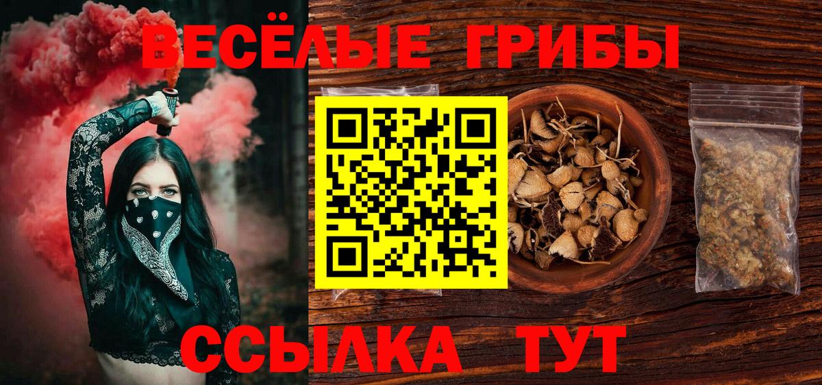как найти наркотики  Галлюциногенные грибы Cubensis  Вход с VPN  Лыткарино 